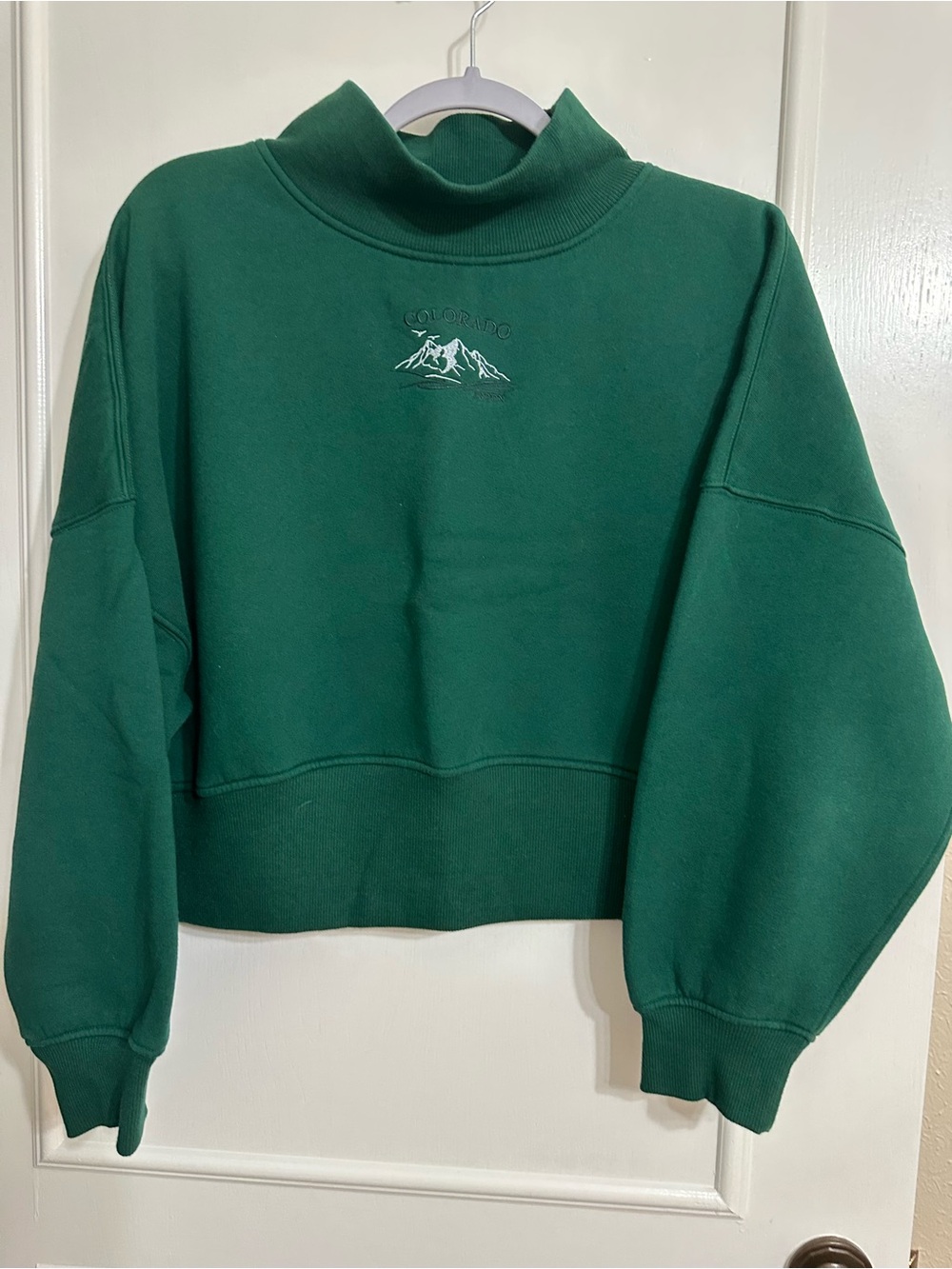 Green Cropped Mock Neck Sweatshirt with Mountain Embroidery by Wild Fable - XL